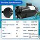 1.5hp B2854 B2854v1, For Challenger Pool Pump Motor, Square Flange Pool Motor