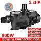 3hp 220-240v 10038gph Inground Swimming Pool Pump Motor Withstrainer For Hayward