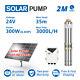 3inch Dc Solar Water Bore Well Pump 24v 300w Mppt Controller Durable Submersible