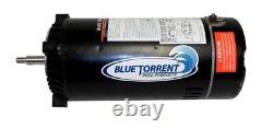 Blue Torrent CS4M257I4L 115/230V Swimming Pool Pump Motor