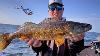 Catching Big Green Bay Walleyes With Nwt Pro Max Wilson