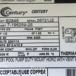 Century Black Silver B2846 1/2 HP 60 Hz 230/115 V P56 Yard Pool & Spa Motor