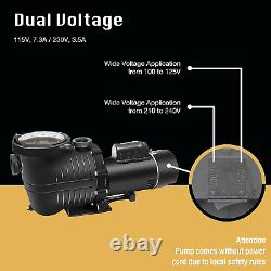Doe-Compliant Dual Voltage 115/230V Pool Motor Pump with 1.25 & 1.5 NPT Union