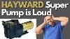 Hayward Super Pump Is Loud How To Change A Hayward Pump Bearing