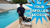 How To Unclog Your Pool Pump Impeller And Warning Signs
