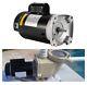 Kozlira B2848 1hp Pool Pump Motor