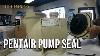 Pentair Pool Pump Seal Replacement How To Replace Pentair Super Flo Pump Seal And Impeller