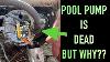 Pool Pump Motor Replacement Troubleshooting Diagnosis And Removal Of A Dead Pool Motor Hayward