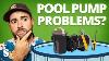 Pool Pump Not Working How To Fix 6 Common Pump Problems Swim University