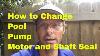 Pools 201 How To Change Pool Pump Motor And Shaft Seal
