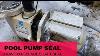 Replace Leaking Shaft Seal On Pentair Pool Pump