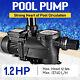 Swimming Pool Spa Water Pump 220 Volt Outdoor Above Ground Strainer Motor 1.2hp