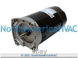 US Motors Nidec Square Flange Pool Spa Pump Motor 1.5 HP 168787 177118 177451